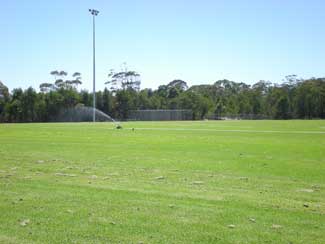 field