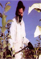 sprayer