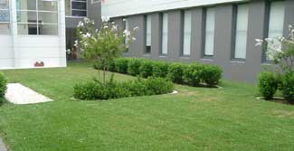 grounds