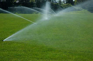 irrigation